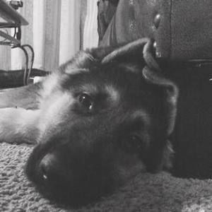 Meet your Posher, Fredrick